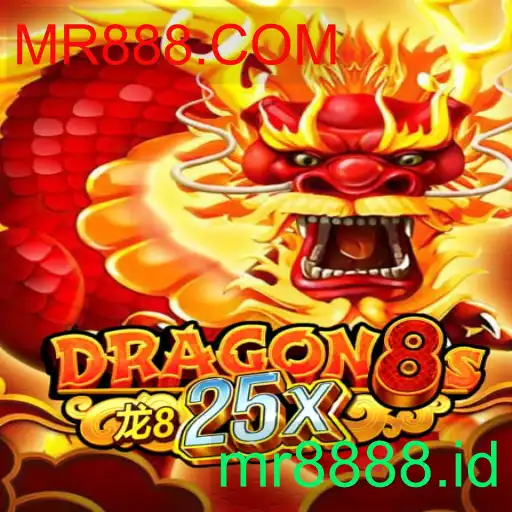 Dragon8s25x
